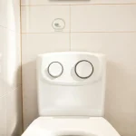 Фото по теме: Система двойного слива воды в общественных унитазах: требования зеленых стандартов LEED и BREEAM