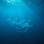 Фото по теме: Подводные энергетические змеи (Minesto): турбины, летающие в океанских течениях