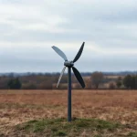Фото по теме: Выбор ветрогенератора вертикального типа на 1 кВт для дачного участка с низкими ветрами